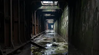                                            دندنها