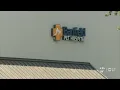 Owner desperately searching for dog after she goes missing from Banfield Pet Hospital