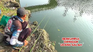 Satu hari dan setengah malam saya mancing udah Besar besar di sungai besarr