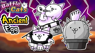 Battle Cats Ranking All Ancient Egg Cats from Worst to Best
