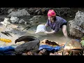Download Lagu Setelah hujan: sungai besar, ikan lebih besar! tangkapan liar seorang gadis