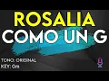 Rosalía - Como Un G - Karaoke Instrumental