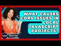 What Causes CORS Issues In Local JavaScript Projects - JavaScript Toolkit