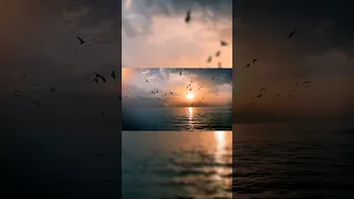 الشمس لا ينبغي أن تدرك القمر شعر المراه اهميه شعراء الظروف اكسبلور اقتباسات حكمة اليوم 