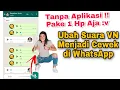 Download Lagu Cara Ubah Suara VN WA Jadi Perempuan Tanpa Aplikasi