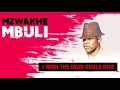 Lagu Mzwakhe Mbuli - I wish the dead could rise