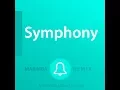 Download Lagu Symphony feat. Zara Larsson Clean Bandit  (Marimba Remix) link in Description
