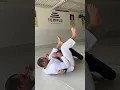 Download Lagu Triangulo rápido partindo do 100KG 😱 #bjj #jiujitsu