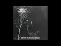Darkthrone - To Walk The Infernal Fields