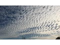 Cloud Types Identification