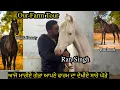 Lagu Our Farm Tour ਆਜੋ ਮਾਰੀਏ ਗੇੜਾ ਆਪਣੇ ਫਾਰਮ ਦਾ ਦੇਖੀਏ ਸਾਰੇ ਘੋੜੇ #beanttulewal  