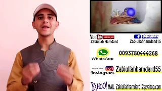 da mula landi full video