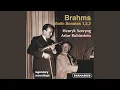 Download Lagu Sonata for Violin and Piano No. 1 in G Major, Op. 78: II. Adagio