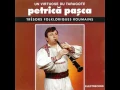 Download Lagu Petrică Pașca - Marșul miresei din Scărișoara