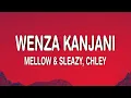 Download Lagu Mellow \u0026 Sleazy - Wenza Kanjani (Lyrics) ft. Chley