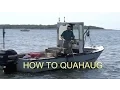 Intern How To Shellfish