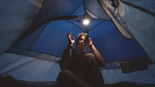 Why I Chose To Suffer Like This – Moto Dog Diaries 18