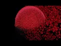 Prepare- Stimming (Visualizer)