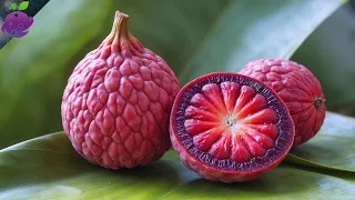 20 fruits oubliés que vos grands-parents adoraient mais que vous n’avez probablement jamais goûtés !