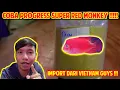 SUPER RED MONKEY DARI VIETNAM !! NONTON SAMPAI HABIS !!