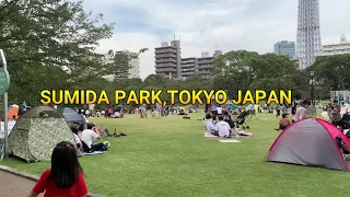 vlog 1 tokyosightseeing spendlessmoney
