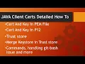 sslhandshakeexception detailed explanation using pem p12 or cert and key format with REST Assured