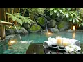 Ultimate Spa Retreat Relaxing Water Sounds for Massage Sleep Stress Relief