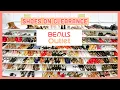 BEALLS OUTLET SHOES ON SALE CLEARANCE SHOP WITH ME