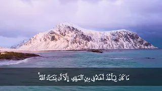 تلاوة من سورة يوسف من المصحف المرتل بصوت الشيخ د محمد حسان 