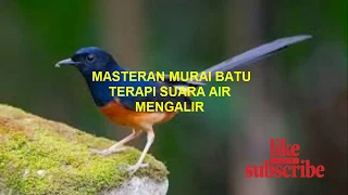 Download TERAPI AIR MENGALIR FULL TEMBAKAN ISIAN MURAI BATU | MASTERAN MURAI BATU MP3