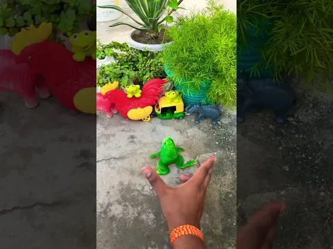 🐸 HUGE Frog Catching Gone Hilarious! 😂 | Try Not to Laugh! #shorts #frog #funny