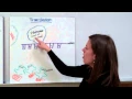RNA Protein Synthesis