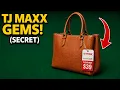 7 TJ Maxx Handbags SECRETLY Better Than 500 Brands And 3 To Skip