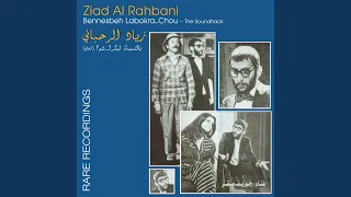                    دندنها