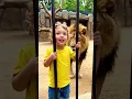 Download Lagu Baby’s First Time Seeing a Lion 🦁 | Cute Zoo Animals