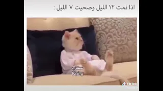 لماذا يعيش السمك في الماء 