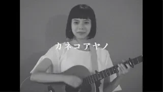 カネコアヤノ-ロマンス宣言