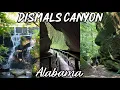 Dismals Canyon Alabama Canyons Hiking History