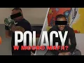 Download Lagu Poles in the service of the Mocro Mafia in the Netherlands.