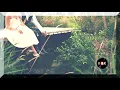 Download Lagu We'll Get Hurt Again ~ Houses On The Hill