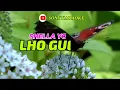 Download Lagu KARAOKE_MIX_LHO_GUE_END SHELLA_YOLANDA || @sonykaraokeofficial