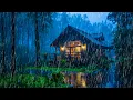 Suara Hujan untuk Tidur - Hujan dan Guntur di Atap di Hutan Hujan di Malam Hari