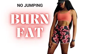Full Body Workout | Burn Fat, Sculpt Abs, Butt & Arms (No Equipment, No Jumping)