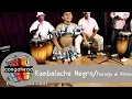 Lagu Kambalache Negro performs Festejo el Ritmo
