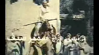 موسيقى ميوزك شمس الزناتي 