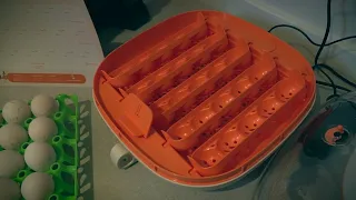 The new Chickcozy Incubator