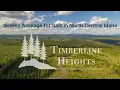 Rural Idaho Living Starts Here Timberline Heights Land for Sale