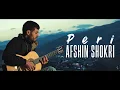 Afshin Shokri - Peri (Music video)