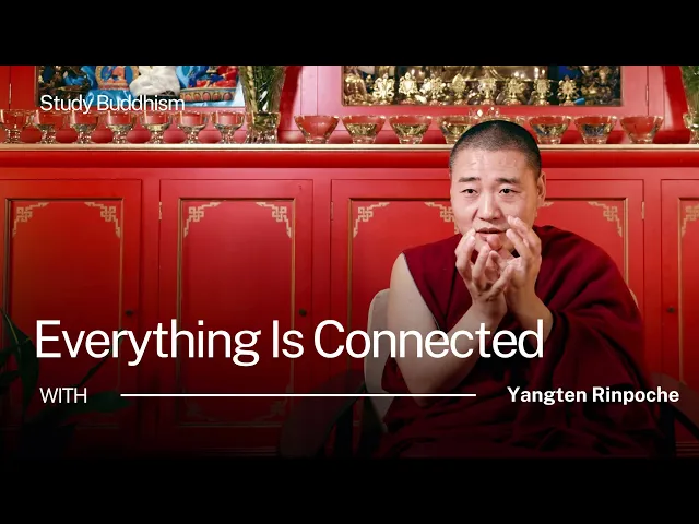 What Is Dependent Arising? (Interdependence Explained Simply) | Yangten Rinpoche