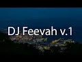 Download Lagu DJ Feevah v.1